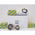 KIT CUSCINETTI CAMBIO  FIAT C514 - 462015410