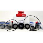 KIT CUSCINETTI DIFFERENZIALE POSTERIORE FREELANDER II - 